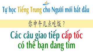 Mẫu câu giao tiếp cấp tốc Tiếng Trung  || Đất Việt ABC - Tiếng Trung cho người mới bắt đầu