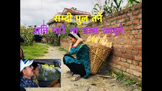 राम्दि पुल || Ramdi Pula Tarne || Narayan Rayamajhi, Kamala Pokharel