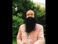 dr. msg fans world derasachasauda reels insan