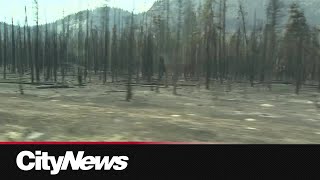 Interim housing units available in February for affected Jasper wildfire residents
