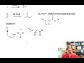 Baeyer-Villiger Oxidation