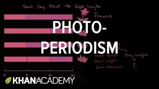 Photoperiodism  | Plant Biology | Khan Academy