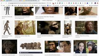How to Find and Cite Images