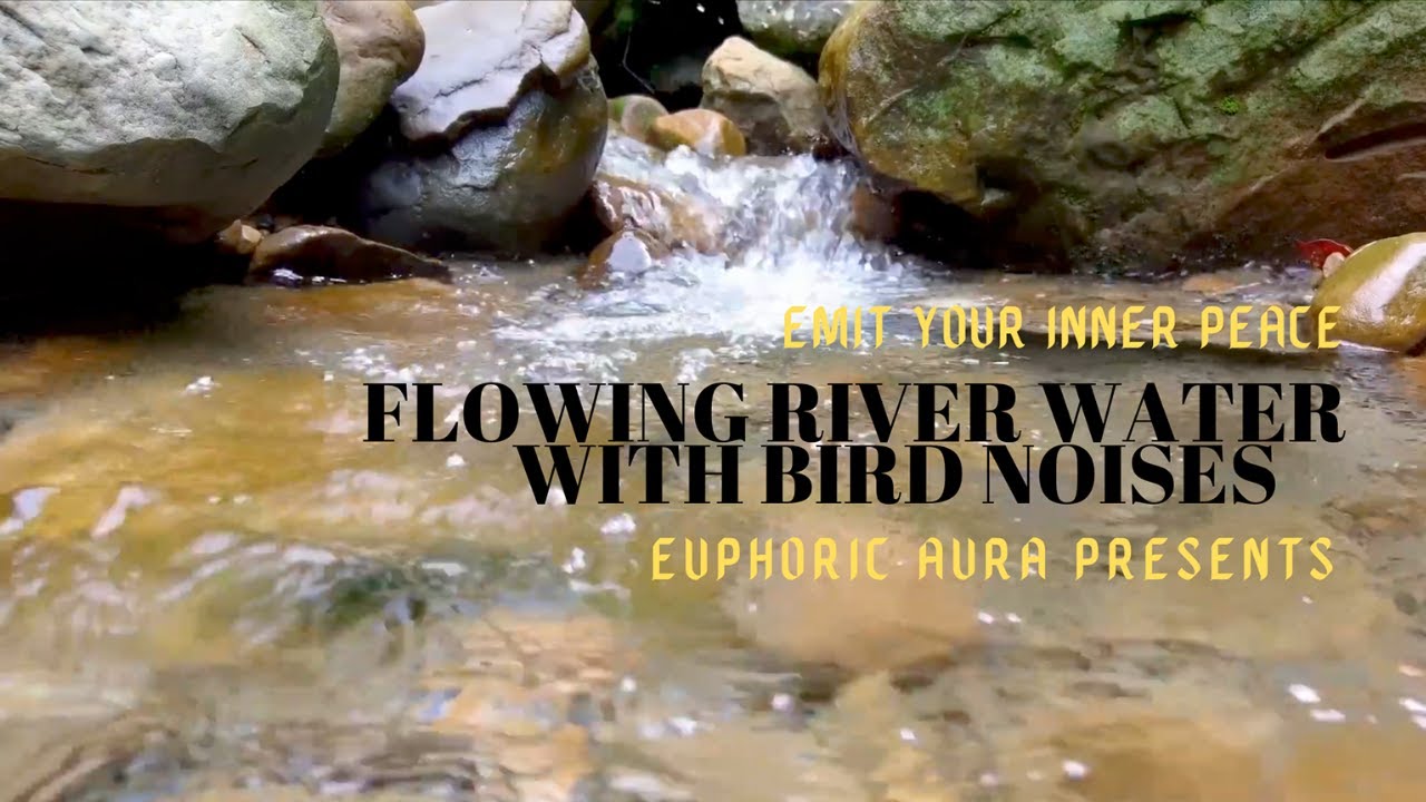 Flowing River Water Sounds With Bird Noises For Relaxation, Focus ...