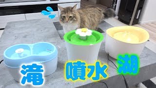 【ハプニング】どの水飲みが一番気に入ってくれる？