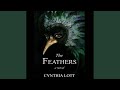 Chapter 116 - The Feathers