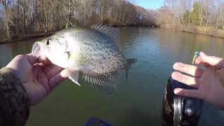 Stinger Shad by Southern Pro