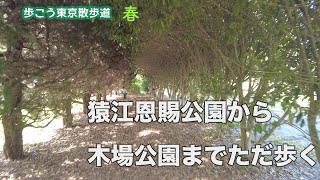 【江東・春】 水辺の気持ちの良い道、猿江恩賜公園から横十間川親水公園を通って木場公園までただ歩く｜早送りで全部見せます｜東京ウォーキングコース｜歩こう東京散歩道 #17