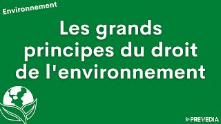 🌍 Les grands principes du droit de l'environnement