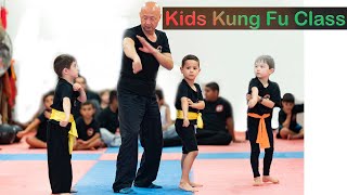 Kids Kung Fu Training at home: Kung Fu beginner training 2020