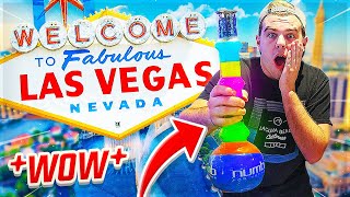 ROADTRIP TO VEGAS ft. MajesticSheep (Las Vegas Vlog)