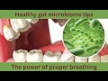 Healthy gut microbiome tips: The power of proper breathing