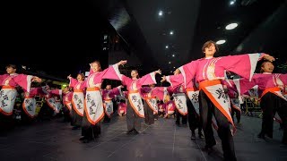 [4K] 佛教大学よさこいサークル紫踊屋　龍馬よさこい 2018　2日目　JR京都駅駅前広場