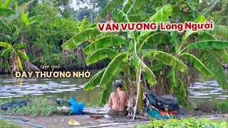 Cảnh Vườn Quê Vừa Thương Vừa Nhớ, Nét đẹp Vùng Sâu Vương Vấn Lòng Người Xa Xứ .