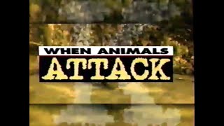 When Animals Attack (1996)