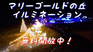 マリーゴールドの丘　イルミネーション 4K　＃本庄早稲田駅　＃公園　＃無料　＃クリスマス