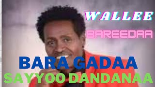 Sayyoo Dandanaa - Fooliyyoo Roobaa | Oromo Music