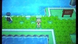 ポケモンORAS-39「110番道路 後編（キンセツ方面）」