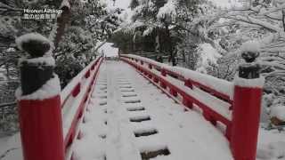 雪降る松島を歩いてみた