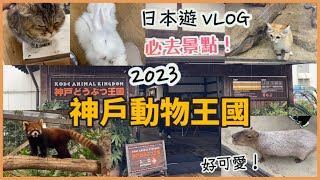 日本遊2023 Vlog | 神戸必去景點，神戶動物王國 | 睇下有咩動物？看看可愛的動物、水豚、兔仔、貓狗⋯ | 動物近距離接觸！| 動物園 | 大阪關西自由行2023