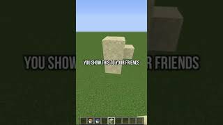 Fun thing to do in Minecraft when you're BORED...