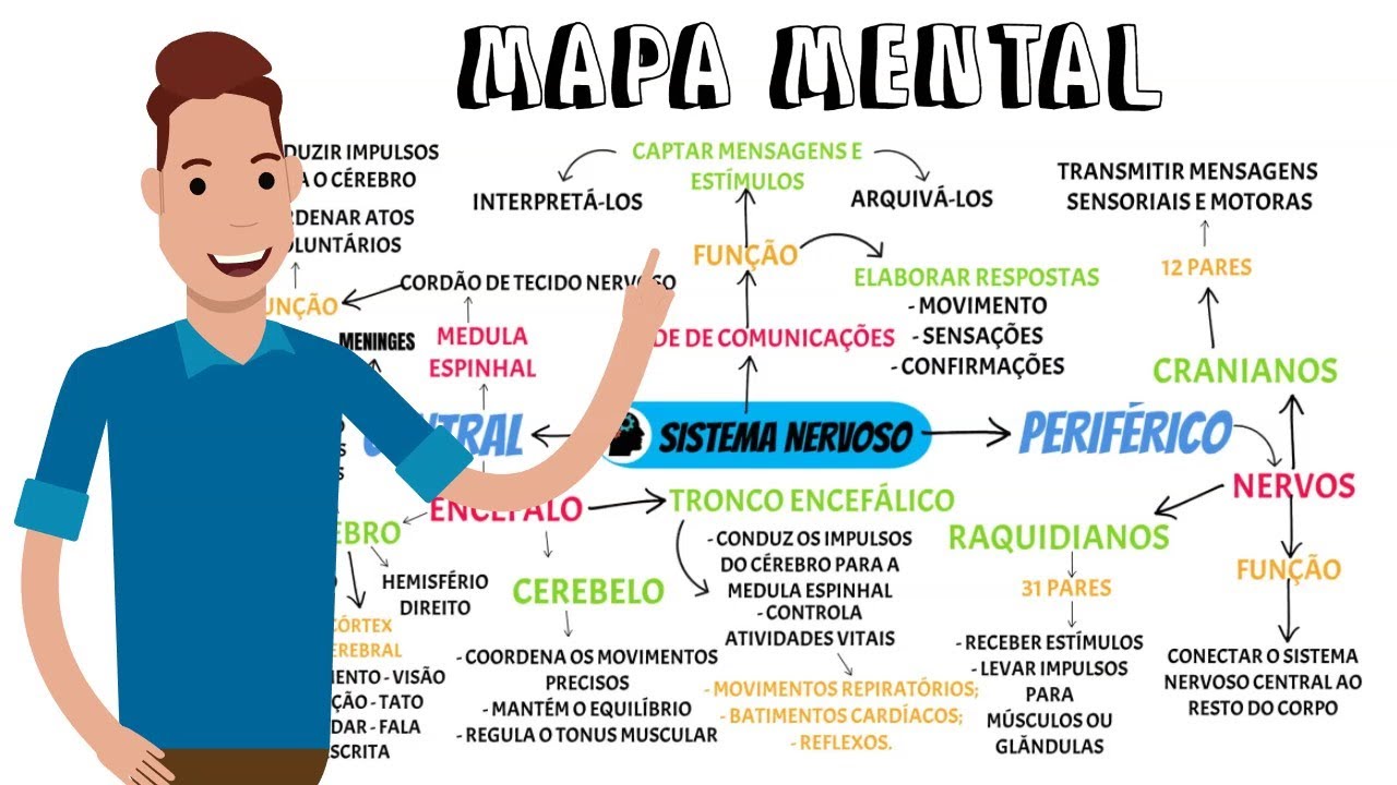 MAPA MENTAL - Sistema Nervoso - YouTube