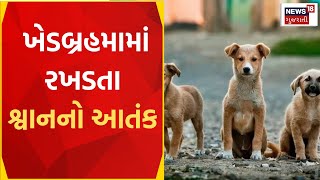 Sabarkantha News | બાળક સહીત 4 લોકો પર શ્વાનનો હુમલો | Dogs attack | Gujarat News