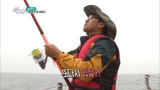 6시 내고향 - 서해에 핀 꽃, 국화도! - 경기 화성 2.20160527