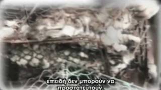 Kymatica Part 8 Greek Subtitles