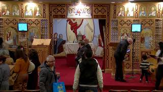 St. Mary Coptic Church, NY - Sunday Arabic Liturgy 2025-01-26