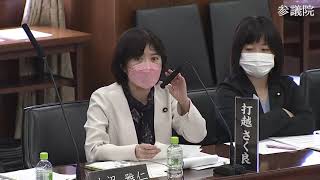 参議院 2022年03月23日 憲法審査会 #17 打越さく良（立憲民主・社民）