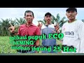 Vidio aplikasi pemupukan jagung menggunakan pupuk ECO FARMING part2