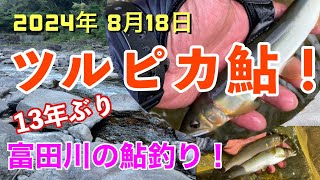 2024年8月18日、富田川の鮎釣り釣果‼️