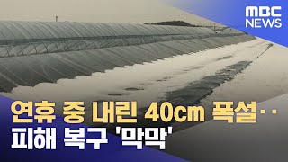 연휴 중 내린 40cm 폭설‥피해 복구 '막막' (2025.02.03/뉴스투데이/MBC)