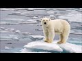 GLOBAL WARMING, 2017, Climate Science Special Report Highlight with Music