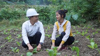 peaceful life with engineer, vegetable gardening, farm life, Linh Tan Building