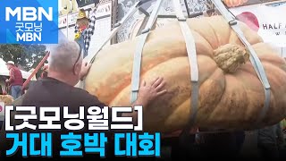 [굿모닝월드] 거대 호박 대회 [굿모닝 MBN]