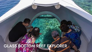 Glass Bottom Reef Explorer | Shore Excursion | NCL