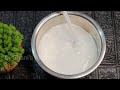 perfect palappam recipe xmas സ്പെഷ്യൽ പാലപ്പം കേരളസ്റ്റൈൽ പാലപ്പം 🎄🎄🎄