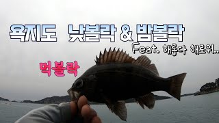 욕지도 낮볼락,밤볼락 루어낚시(Feat.해로운 볼락낚시)