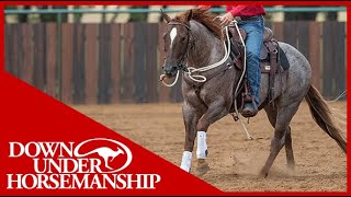 Clinton Anderson: Motivating a Slow Moving Horse - Downunder Horsemanship