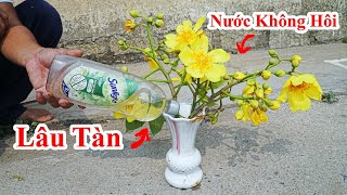 Cách Cắm Hoa Lâu Tàn \u0026 Mẹo Làm Nước Cắm Hoa Không Bị Hôi Thối CỰc Hay / Mẹo Nước Bình Hoa Không Hôi