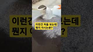 이런건 처음 보는데 뭔지 아시는분? #shorts