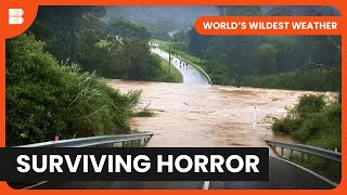 Surviving Wild Weather - World's Wildest Weather - S01 EP02 - Nature Documentary