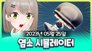 [2023-05-25] 염소 시뮬레이터, 버거님 커버곡 같이보기 / 비챤의 다시보기