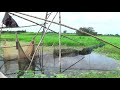 বাঁশের তৈরি খরা জাল দিয়ে মাছ ধরার পদ্ধতি l fishing with a dry net made of bamboo