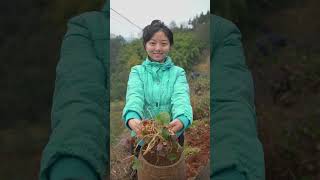 靠山吃山靠水吃水，農村生活 Rural life