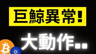 比特幣2024年末大鯨魚出現大動作! 注意這個機會..都發生在月初是巧合? 龐家人們跨年愉快!