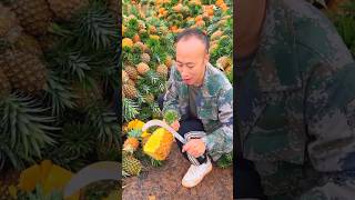 কি পরিমানের আনারস দেখুন #আনারস #pineapple #shortsfeed #fruit #fruiting #myvillagebd#shortvideo