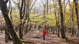 191102_限界さんぽ（番外編）～晩秋の三国山稜ハイキング